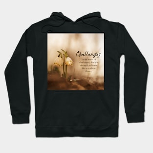 In the Midst of Challenges Hoodie